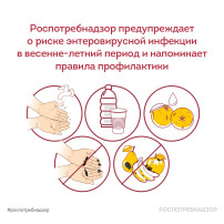 Основные правила профилактики энтеровирусной инфекции Основные правила профилактики энтеровирусной инфекции.